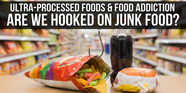 gemini 3 pro image preview 2k (nano banana pro) a ultra processed food